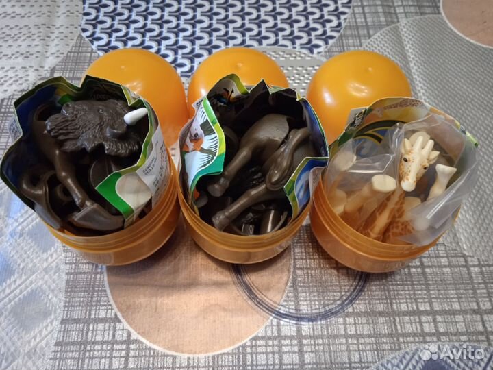 Киндер макси Натунс 2023-2024г