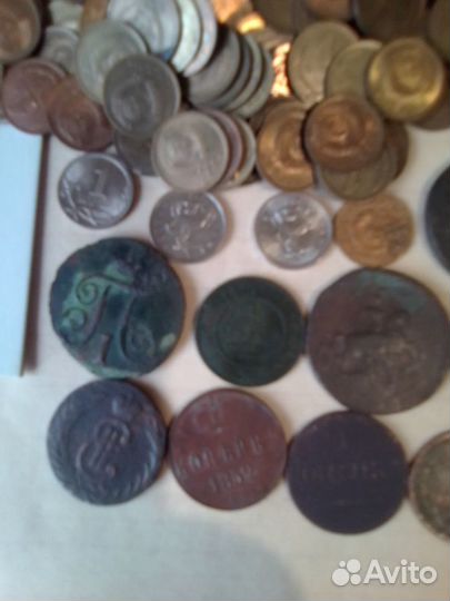 Монеты