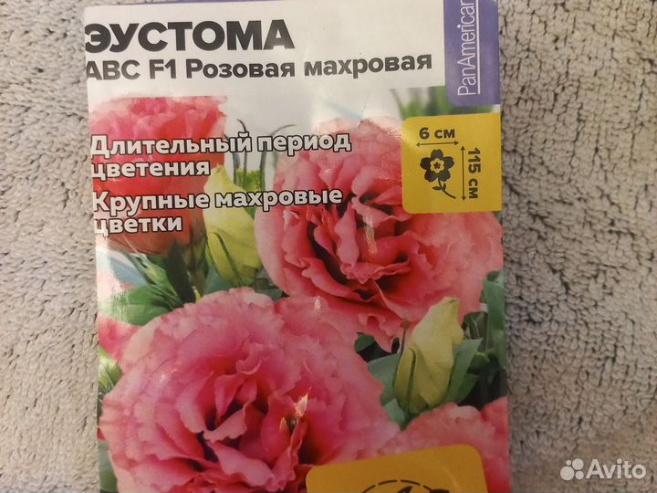 Эустома рассада