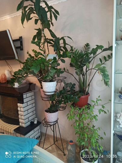2-к. квартира, 53 м², 1/5 эт.