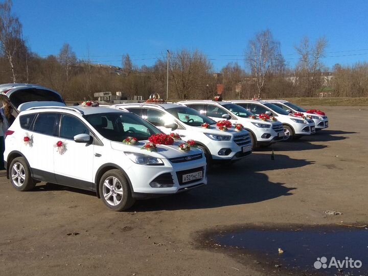 Свадебные автомобили, обслуживание свадеб, кортеж