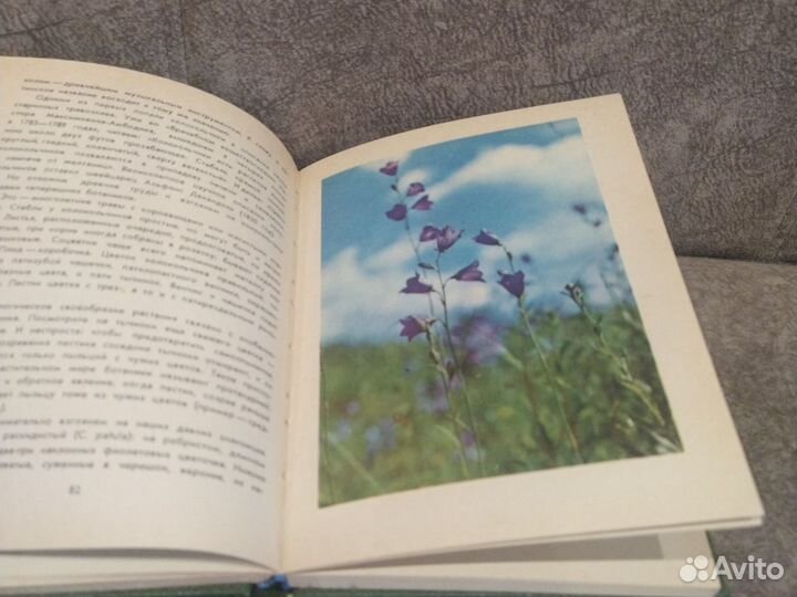 Лесные травы. А. Стрижев. 1979 год