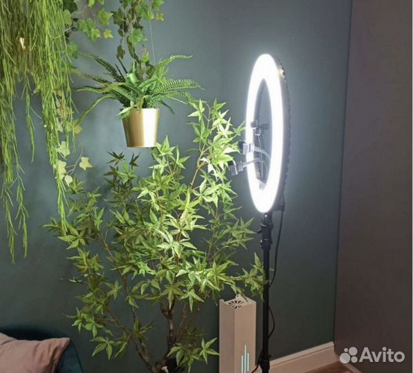 Кольцевые лампы 26/33/36/46/54см