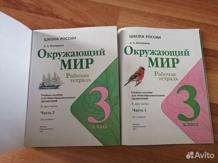 Рабочая тетрадь по окружающему миру 3 класс