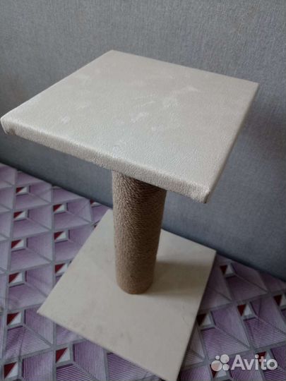 Когтеточка