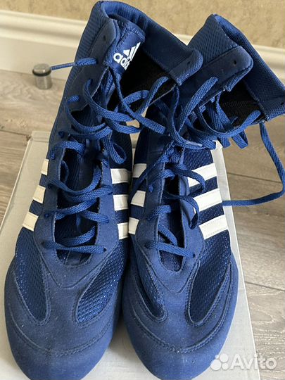 Боксерки adidas box hog 2