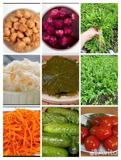 Соленья домашние