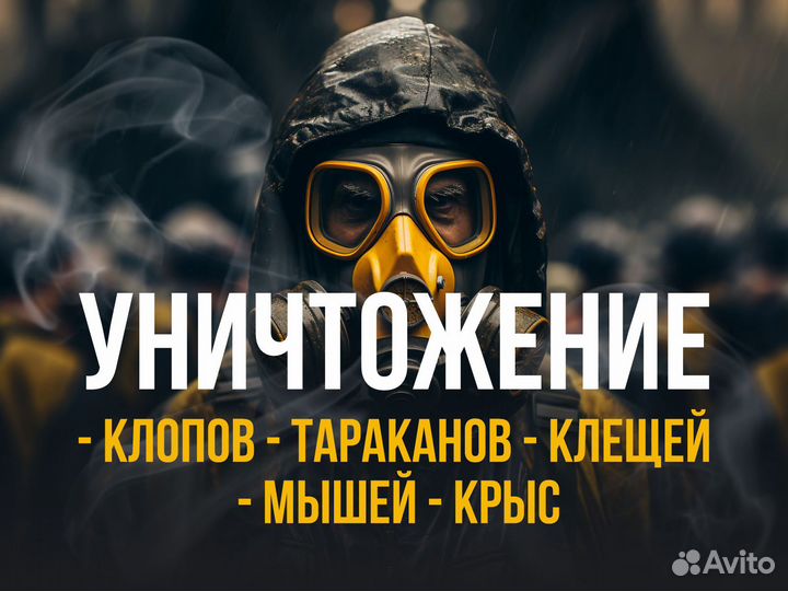 Уничтожение клопов. травля. Дезинфекция. Качество