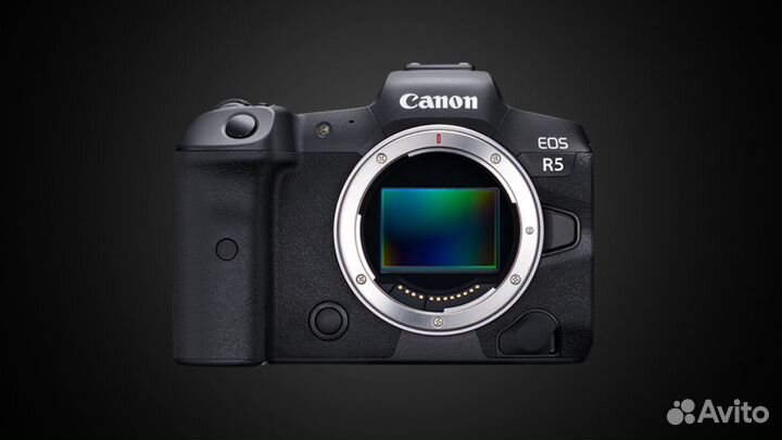 Фотоаппарат Canon EOS R5 Body
