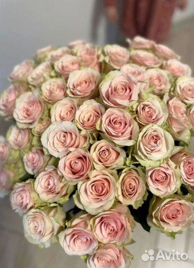 101 роза с доставкой, букет роз с доставкой