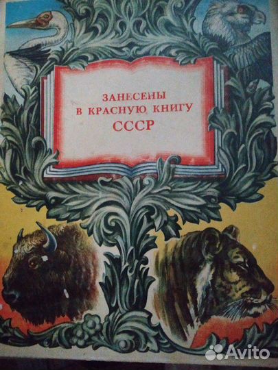 Коллеционная этикетка