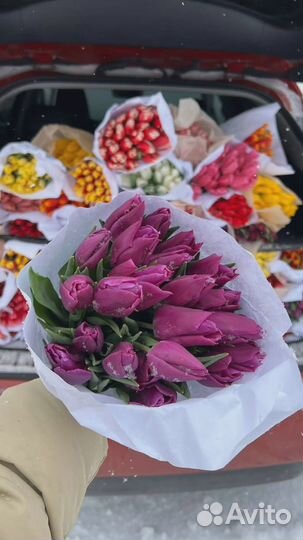 Тюльпаны предзаказ
