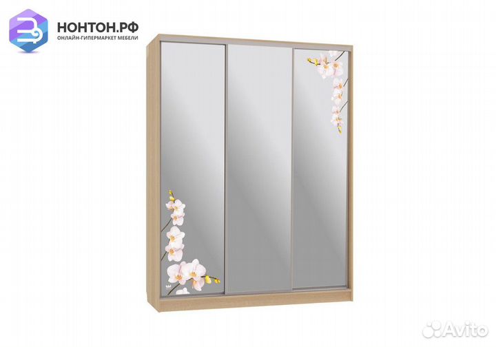Шкаф-купе Бассо 4-600 орхидеи дуб сонома