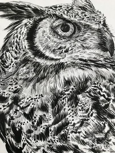 Рисунок сова