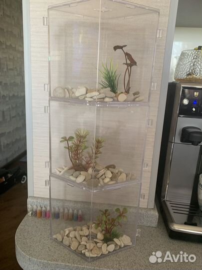 Аквариум для рыбки петушка