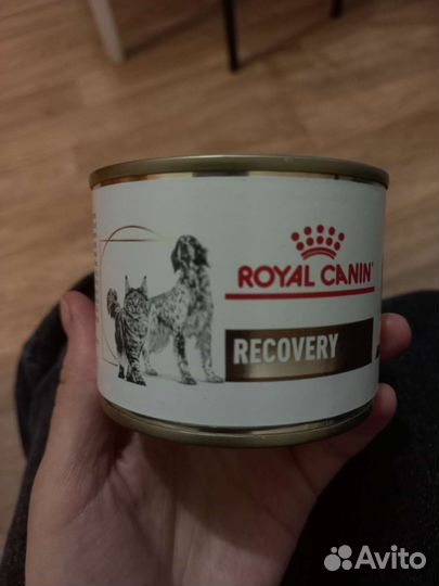 Royal canin recovery роял канин рекавери