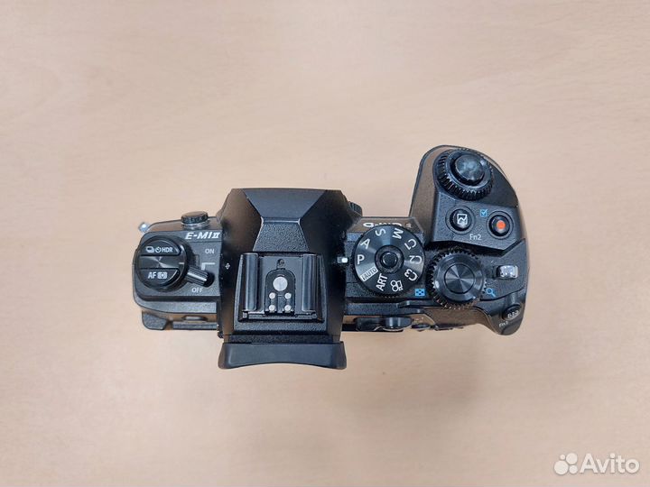 Olympus OM-D E-M1 Mark II Body