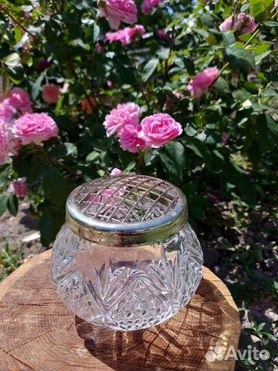 Роузболы английские