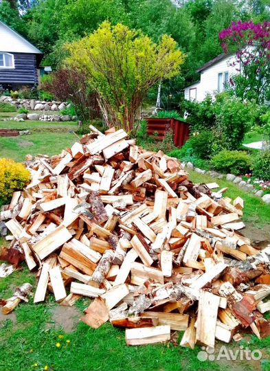 Дрова колотые Береза