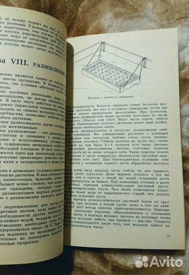 М. Б. Цирлинг - Аквариум и водные растения