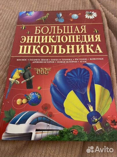 Большая энциклопедия школьника