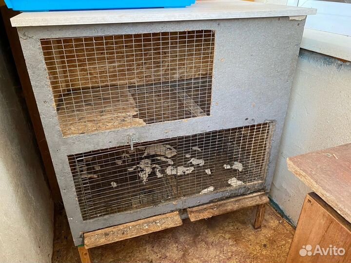 Клетки для грызунов