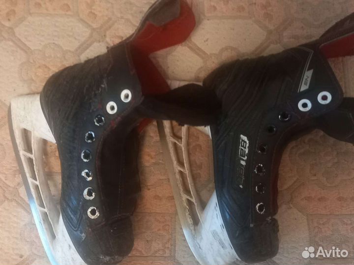Хоккейные коньки bauer nexus