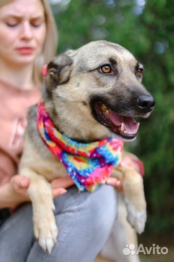 Октавия,скромная ищет дом