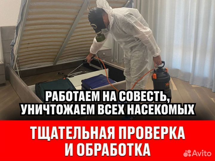 Уничтожение клопов и тараканов, дезинфекция