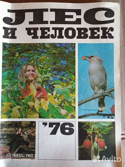 Книги о растениях