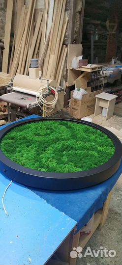 Пано из стабилизированного мха