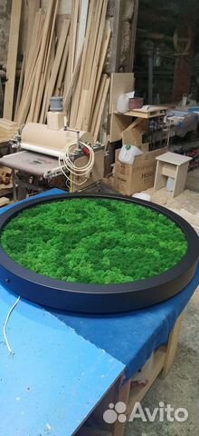 Пано из стабилизированного мха