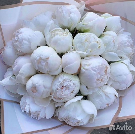 Пионы Розы Доставка