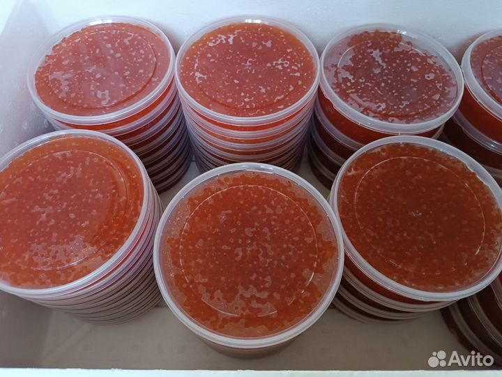 Красная икра горбуши