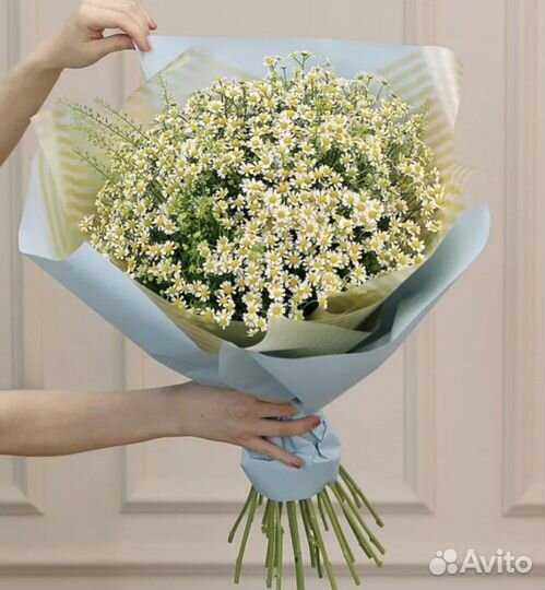 Ромашки букеты