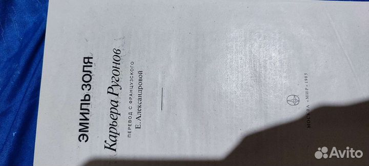 Эмиль Золя карьера ругонов