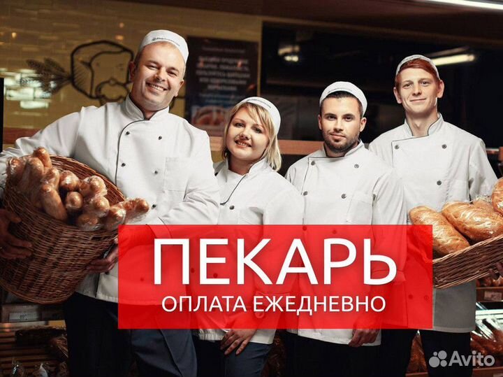 Повар (зп каждый день)