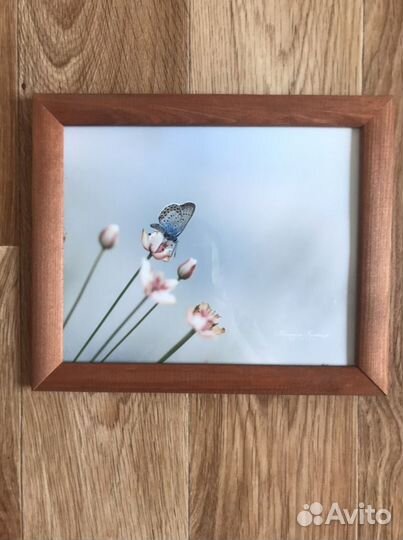 Рамка с фотографией живой природы