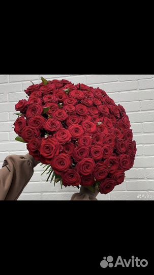Розы красные 15,21,31,51,71,101