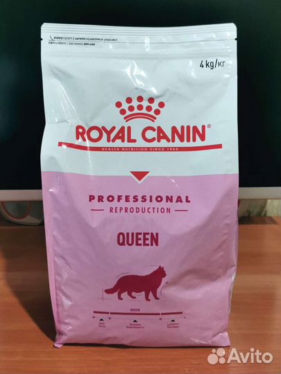 Queen сухой корм для котят и кошек Royal Canin