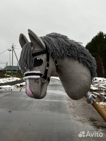 Хоббихорсинг