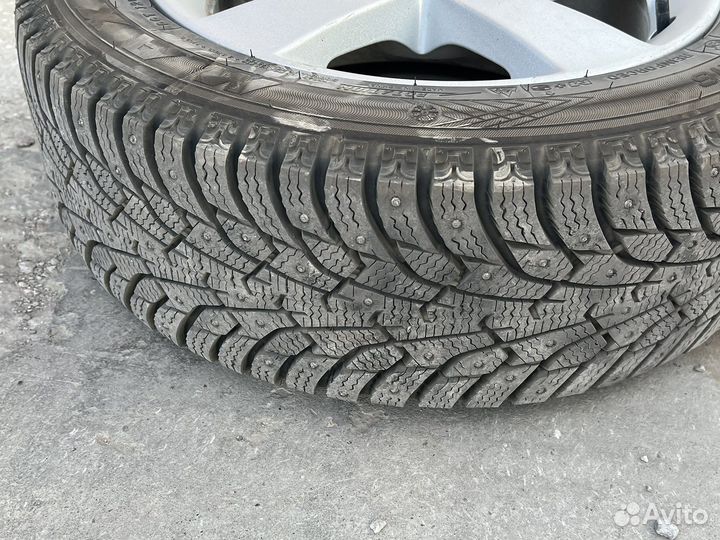 Maxxis Premitra Ice Nord NS5 205/55 R16