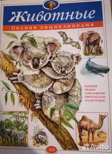 Детская энциклопедия эксмо