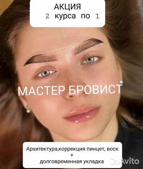 Обучение Мастер Бровист