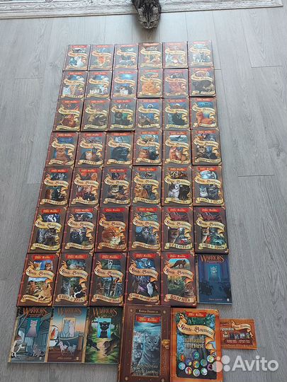 Коты-Воители