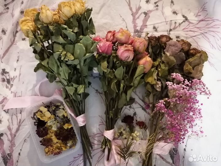 Сухие цветы розы
