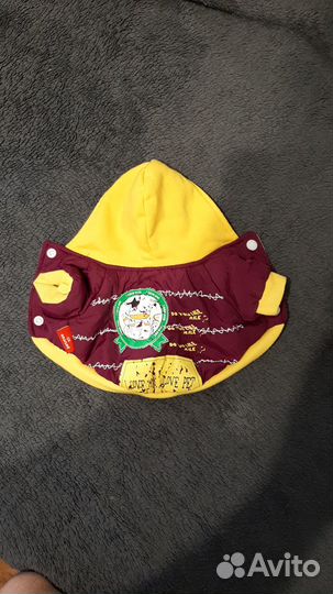 Вещи для маленькой собачки