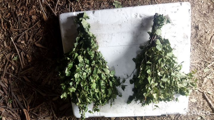 Веники для бани