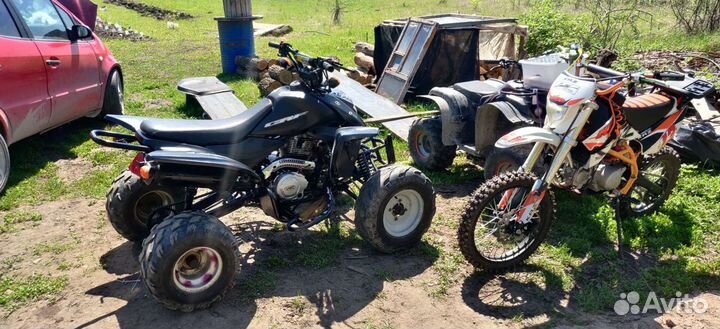 Patron scaner 250, Злой зверь, обмен