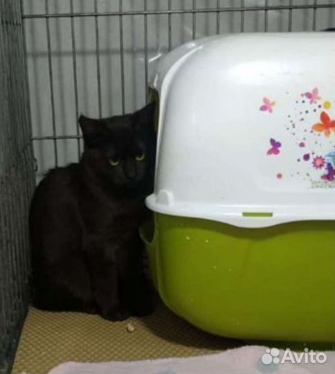 Несчастный ребёнок ждёт в уголочке семью